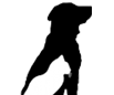 About Cats & Dogs, LLC