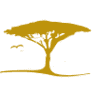 Acacia Collections