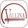 Academia de Peluquería y Estética Vallina