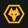 Wolves Academy