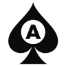 Ace Motor Group Inc