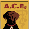 A.C.E. Veterinary Hospital