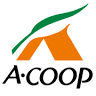 A Coop Tamayu