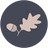 Acorn and pip