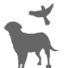 Acorn Animal Hospital