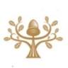 Acorn Solicitors