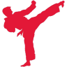 Action Taekwondo NSW: Googong