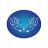 Active Hand Therapy Gold Coast
