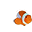 Acuario Océano
