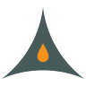 Adepto Medical
