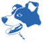 A Dog's Dream