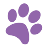 Adopt A Pet Victoria