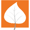 Aspen Design Studio