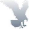 Advantage Express Movers