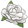 À Fleurs de Pot