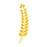 AGRIS.RO