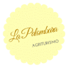 Apartment La Palombara