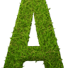 AGROCESPED. Césped natural en Tepes.