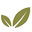 Agroline Bucovina