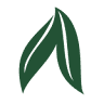 Agromape - Loja Autorizada STIHL