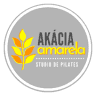 Akácia Amarela Studio de Pilates