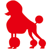 Aki Animal Clinic