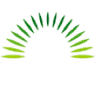 AKUMAL NATURA GLAMPING