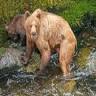 Alaska Waters Inc.