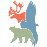 Fox Exhibit