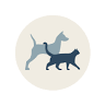 Alhambra Animal Hospital: Heidi Henstra & Christine Carrillo, DVM