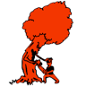 ALL ABOUT TREE SERVICES QLD