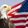 All American Bail Bonds