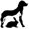 All Creatures Animal Hospital