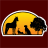 Allen Animal Clinic