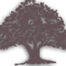 Allen Oaks Nursing & Rehab Center