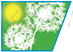 Dr. Christine Garvey, D.C. ALLERGY BREAKTHROUGH CENTER