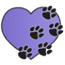 All Gods Creatures Holistic Healthcare