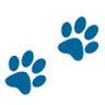 All Pets Animal Hospital