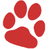All Pets Veterinary Hospital