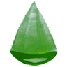 PT. Aloe Vera Indonesia
