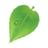 Aqua Natural Store