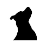 Alpha Dog Distribution - Viande crue et accessoires pour chien