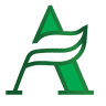 Alternative CPA & Consulting