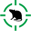 Alternative Pest Solutions LLC