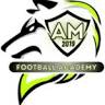 AM Football Academy