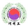 American Martial Arts Academy