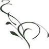 Amanda's Catering