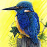 Sanctuary Gallery Hahndorf