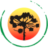 FLORICULTURA AMBIFLORA