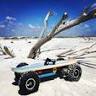 Amelia Island Board Rental Tours